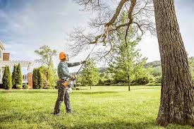 Best Storm Damage Tree Cleanup  in Enetai, WA